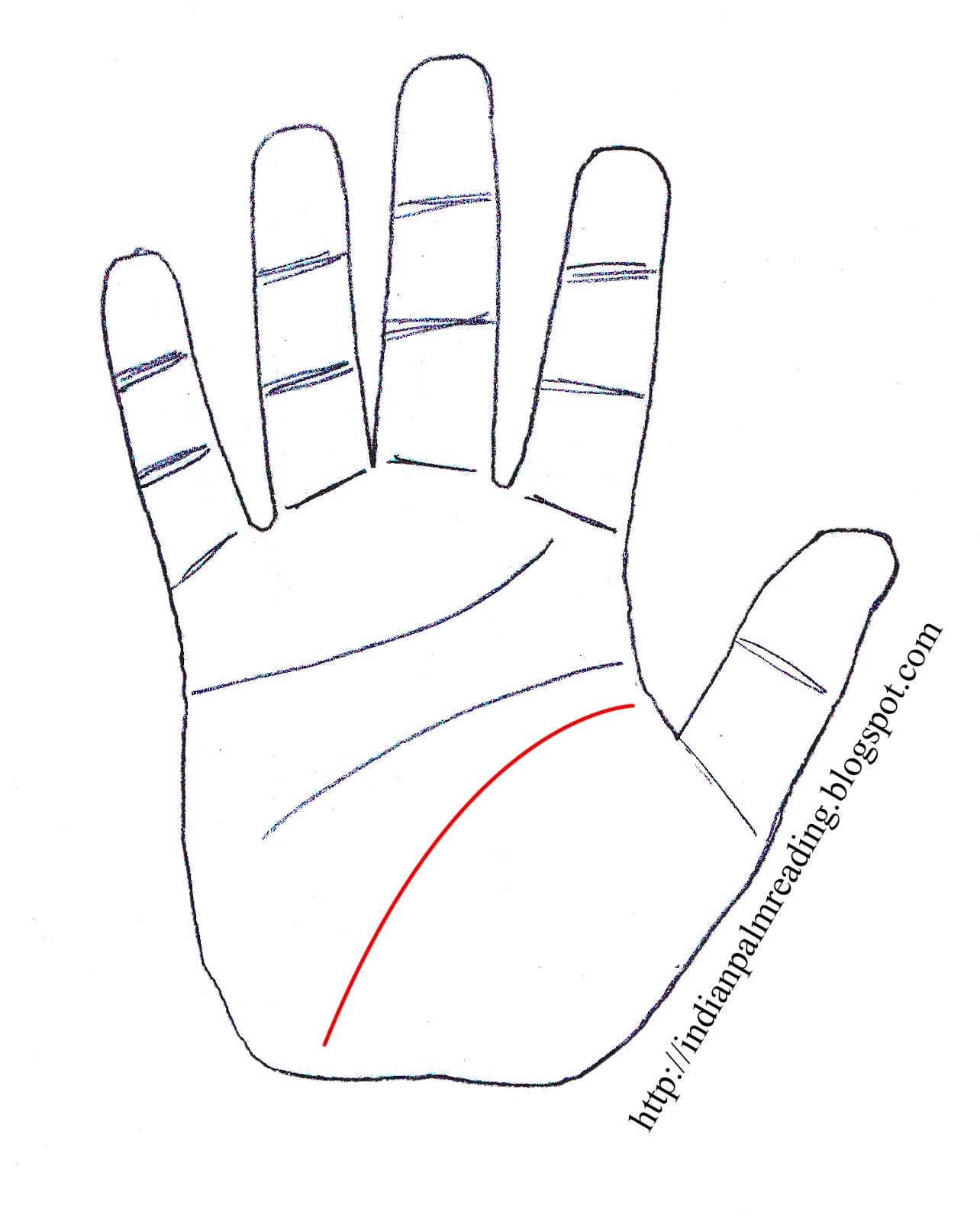 palm reading and sex Anal tgp video